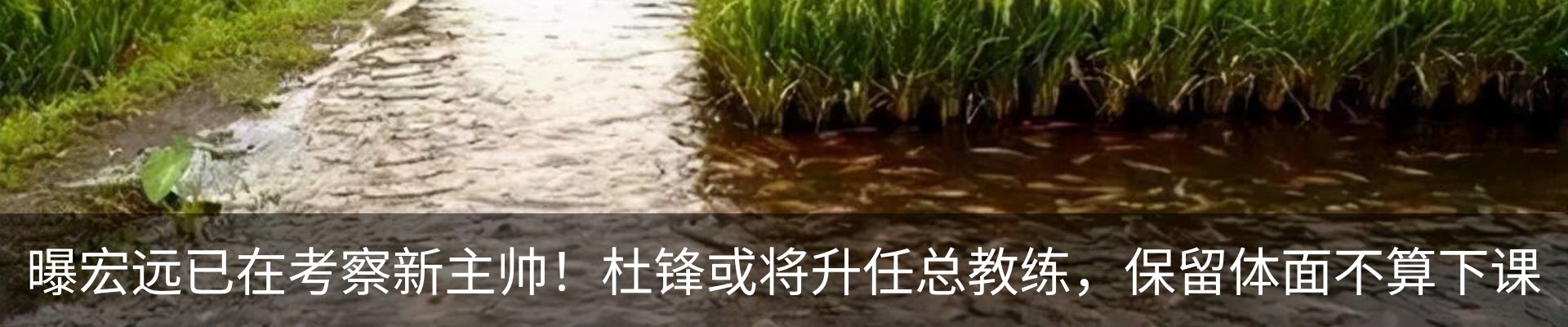 资讯动态