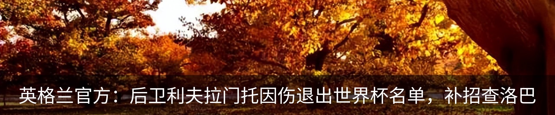资讯动态